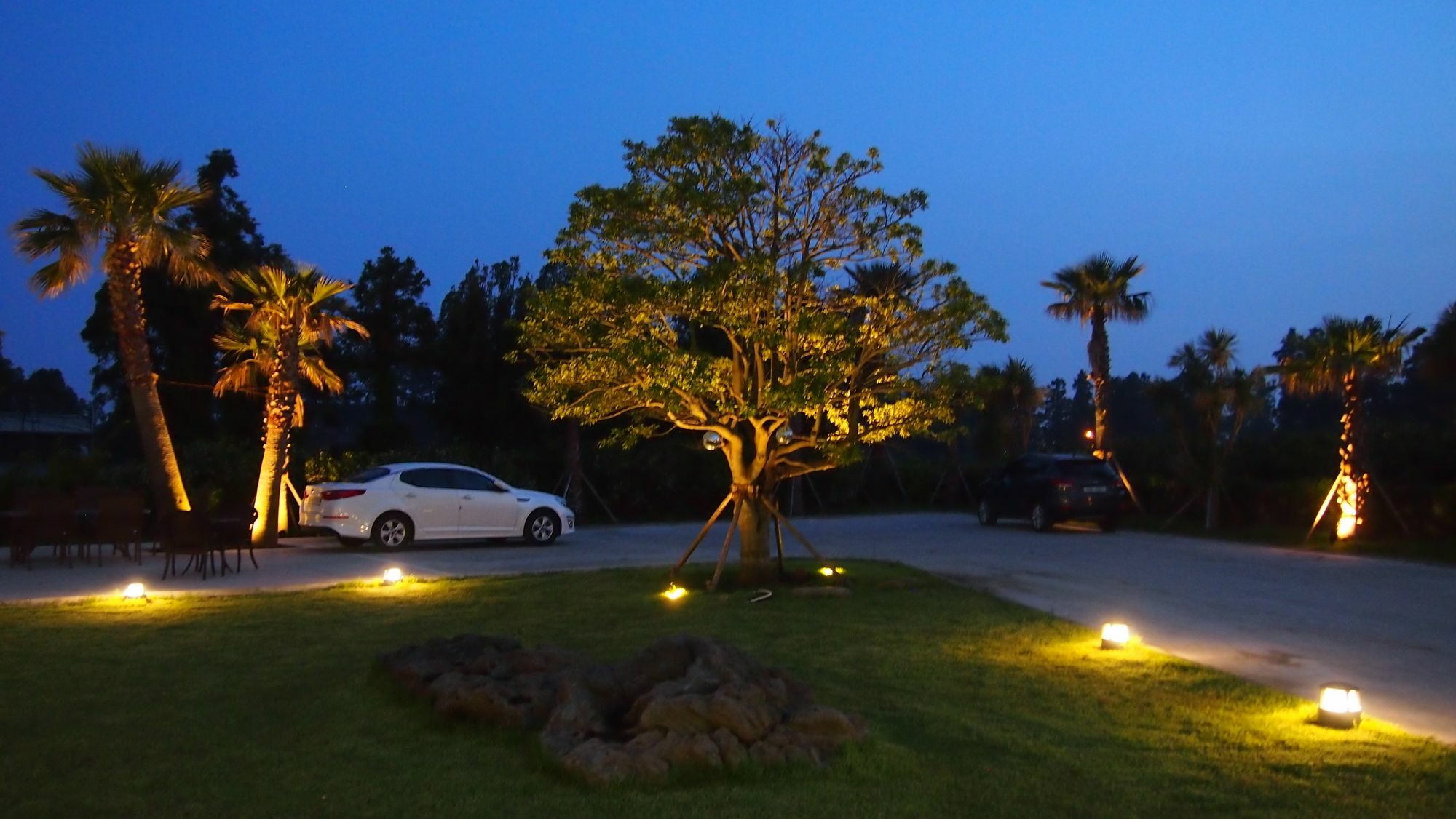 Hotel Eridu Cafe N Beds Seogwipo Exterior foto